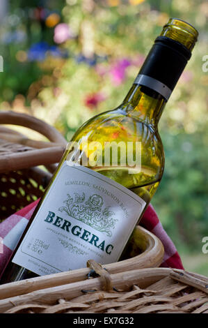 Bergerac bianco secco all'aperto francese Semillon Sauvignon Blanc bottiglia di vino in cestino pic-nic in estate al fresco soleggiata giardino floreale situazione Foto Stock