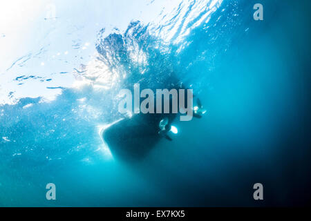 La vista al di sotto di una Boston Whaler 320 oltraggio speedboat con due suoi 300 cavalli motori fuoribordo. Foto Stock