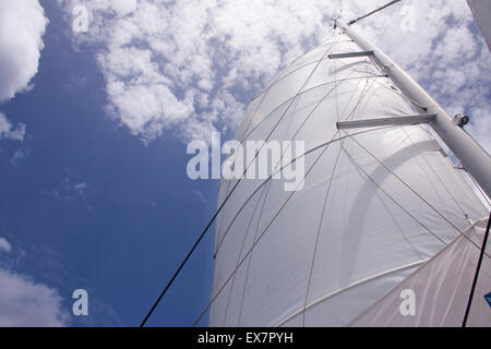 Le vele di un catamarano di lusso raggiungere verso il Cielo e nubi Foto Stock