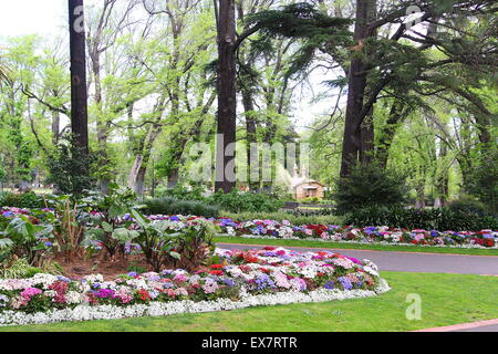 Fiori colorati in letti in Giardini Fitzroy Melbourne Victoria Australia Foto Stock
