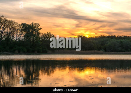 Kühwörther Wasser, Danube-Auen National Park, Austria Inferiore, Austria Foto Stock