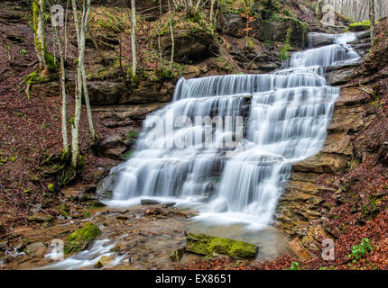 Le tre cascate cascata nella Foresta, Parco Nazionale delle Foreste Casentinesi, Emilia Romagna, Toscana, Italia Foto Stock