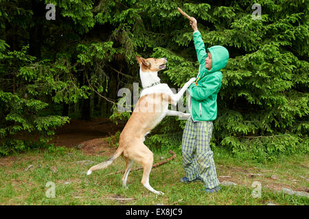 Ragazzo giovane all'esterno la riproduzione e gettando stick per il cane nella foresta Foto Stock