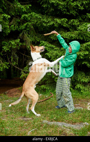 Ragazzo giovane all'esterno la riproduzione e gettando stick per il cane nella foresta Foto Stock