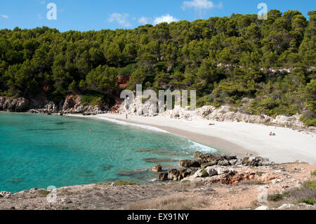 Lucertole da mare e nuotatori sulla splendida sabbia bianca e chiare acque azzurre del Escorxada beach sull'isola di Minorca spagna Foto Stock