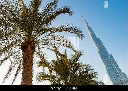 DUBAI, Emirati Arabi Uniti - 22 ottobre 2014: Il moderno in acciaio Burj Khalifa Tower sopra le palme nel parco sottostante. Foto Stock