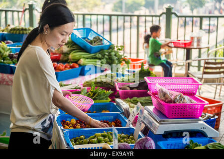 Donna asiatica al di agricoltori biologici nel mercato di Hong Kong al Molo Star Ferry Foto Stock