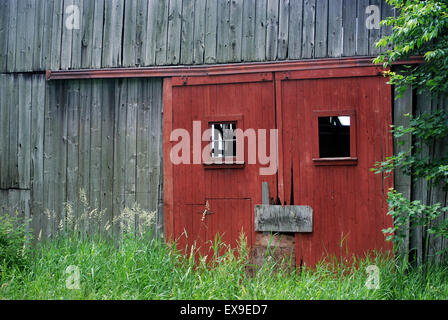 Porta Rossa su weathered vecchio fienile con erbacce. Foto Stock