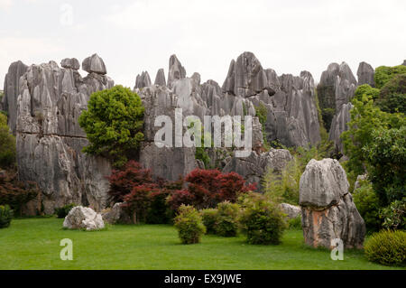 Shilin Foresta di Pietra - di Kunming - Cina Foto Stock