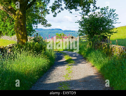 Green Lane nella valle Troutbeck, Parco Nazionale del Distretto dei Laghi, Cumbria, England Regno Unito Foto Stock