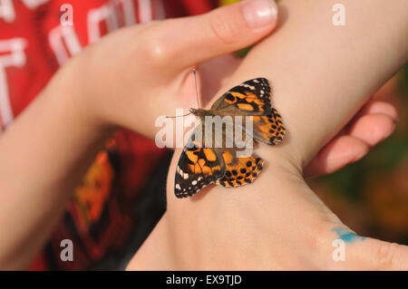 Un bambino la mano con un dipinto di lady butterfly Foto Stock