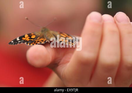 Un bambino la mano che regge un dipinto di lady butterfly Foto Stock