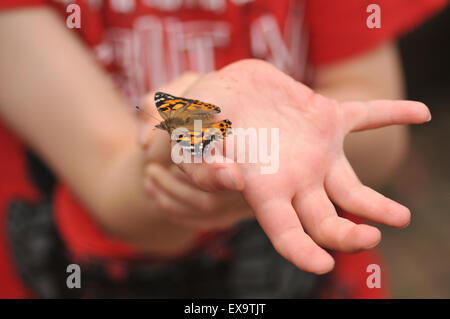Un bambino la mano che regge un dipinto di lady butterfly Foto Stock