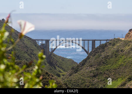 Bixby Bridge, un punto di riferimento in California dal 1932, vista dal vecchio autostrada costiera Foto Stock