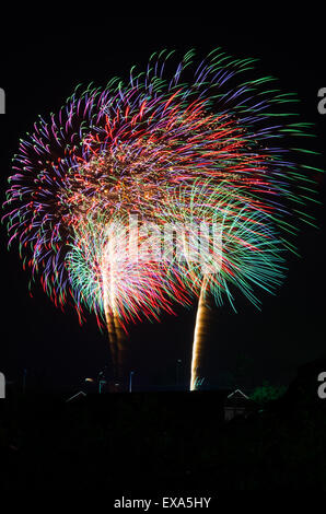 Un'immagine di esplodere i fuochi d'artificio di notte. Rappresenta una celebrazione. Foto Stock