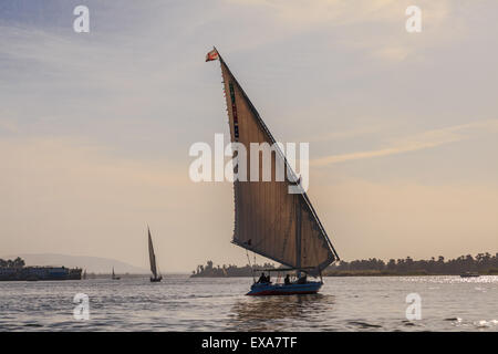 Faluka sul Fiume Nilo, Aswan, Egitto Foto Stock