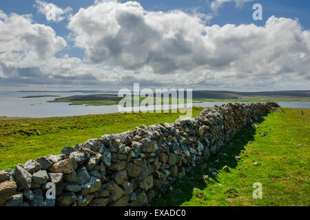 Il vecchio muro di pietra, ex recinzione di campi e pascoli, Unst, isole Shetland, Scotland, Regno Unito Foto Stock