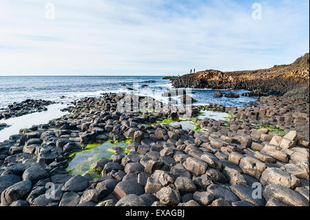 Il Giants Causeway, Sito Patrimonio Mondiale dell'UNESCO, nella contea di Antrim, Ulster (Irlanda del Nord, Regno Unito, Europa Foto Stock