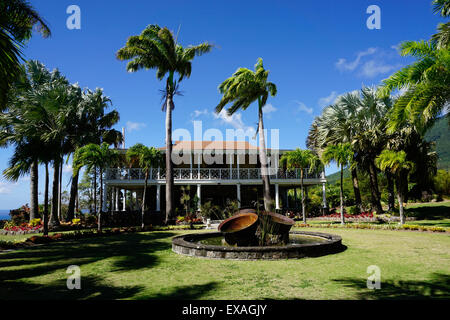 Nevis Giardino Botanico, Nevis, Saint Kitts e Nevis, Isole Sottovento, West Indies, dei Caraibi e America centrale Foto Stock