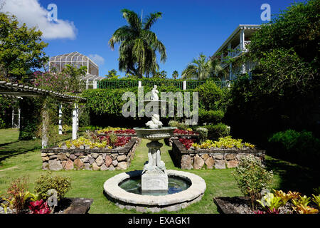 Nevis Giardino Botanico, Nevis, Saint Kitts e Nevis, Isole Sottovento, West Indies, dei Caraibi e America centrale Foto Stock