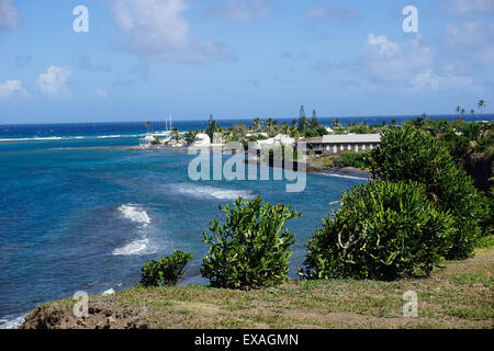 Costa atlantica, Saint Kitts, Saint Kitts e Nevis, Isole Sottovento, West Indies, dei Caraibi e America centrale Foto Stock