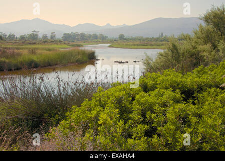 Tipico paesaggio sardo, stagno di acqua e montagne sullo sfondo, Costa degli Oleandri, Sardegna, Italia Foto Stock