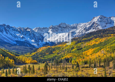 Colori autunnali di strada 7, gamma Sneffle in background, nei pressi di Ouray, Colorado, Stati Uniti d'America, America del Nord Foto Stock