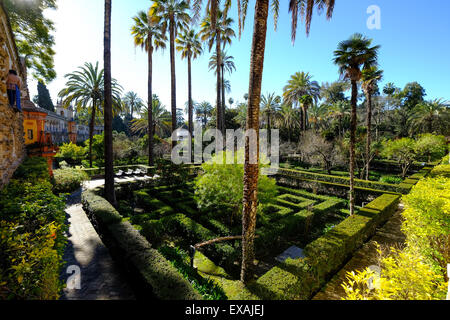 Giardini di danza, Real Alcazar, Sito Patrimonio Mondiale dell'UNESCO, Siviglia, in Andalusia, Spagna, Europa Foto Stock