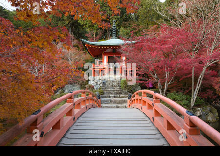 Tempio giapponese giardino in autunno, Daigoji tempio, Kyoto, Giappone, Asia Foto Stock