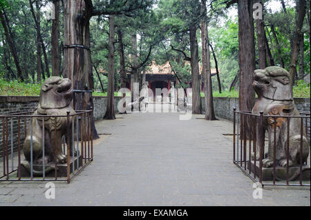 Custodi di pietra che fiancheggiano l'approccio per la tomba di Confucio, Foresta confuciana (cimitero di Confucio), Qufu, Shandong, Cina Foto Stock