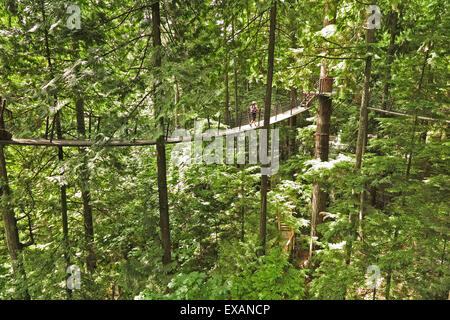 Ponte di sospensione, Treetops avventura, il Capilano, Vancouver, Canada Foto Stock