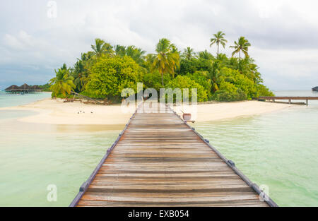 Isola tropicale delle Maldive Foto Stock