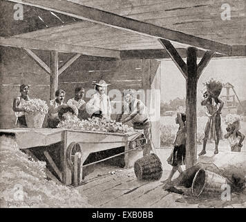 Schiavi lavora con un XIX secolo gin di cotone su una piantagione in uno stato del sud degli Stati Uniti d'America. Foto Stock