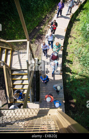 I visitatori di Leighton Moss godendo la Sky Tower antenna piattaforma di visualizzazione che si affaccia sulla riserva naturale da treetop altezza Foto Stock