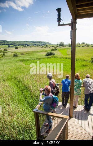 I visitatori di Leighton Moss godendo la Sky Tower antenna piattaforma di visualizzazione che si affaccia sulla riserva naturale da treetop altezza Foto Stock