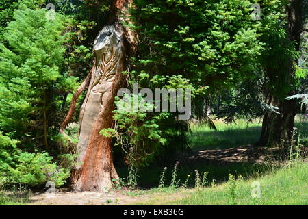 Wakehurst Place in West Sussex Foto Stock