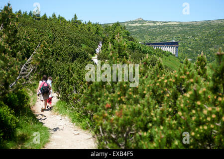 Labska bouda, Zlate Navrsi, Krkonose, Elba prato, NP Monti dei Giganti, Repubblica Ceca Foto Stock