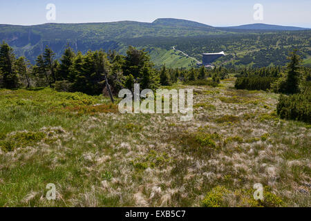 Labska bouda, Zlate Navrsi, Krkonose, Elba prato, NP Monti dei Giganti, Repubblica Ceca Foto Stock