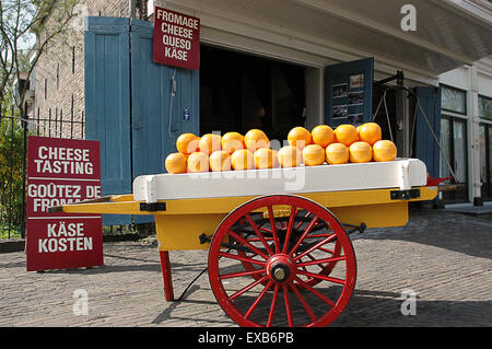 Il formaggio Edam visualizzato in un negozio nel paese Foto Stock