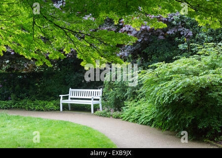 Un bianco una panchina nel parco in tra colorate tress ed arbusti nei giardini botanici , Gutersloh, Germania Foto Stock