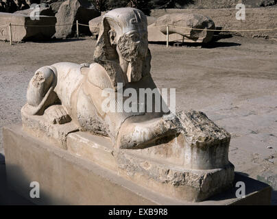Luxor, Karnak, Egitto.Tempio di Karnak sacro al dio Amon: una sfinge di alabastro Foto Stock