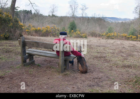 Lurcher Cane e uomo anziano seduto sul banco, Marley altezze, Haslemere, Surrey Foto Stock