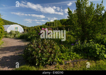 Shropshire hills discovery center a craven arms Foto Stock