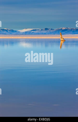 Mono Lago di tufo Riserva Naturale Statale SNR, CALIFORNIA, STATI UNITI D'AMERICA Foto Stock