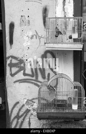 Caged uccelli canori in Atene street, Atene, Grecia Foto Stock