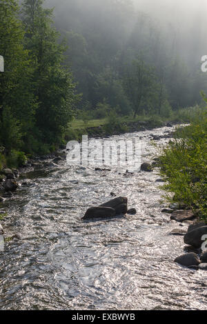 Foschia mattutina nei Carpazi. L'Ucraina Foto Stock