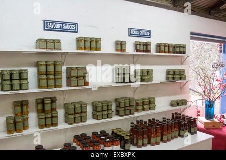 Tradizionali di marmellate fatte in casa, miele e marmellate per la vendita in un negozio di villaggio in Berrima, Nuovo Galles del Sud Australia Foto Stock