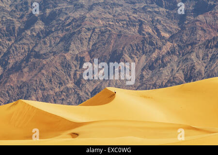 Mesquite dune di sabbia, Death Valley, California, Stati Uniti d'America Foto Stock