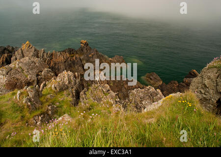 Banco di nebbia di mare avvicinando l'isola di Whithorn Foto Stock