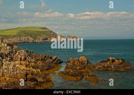 Isola di Whithorn litorale Foto Stock